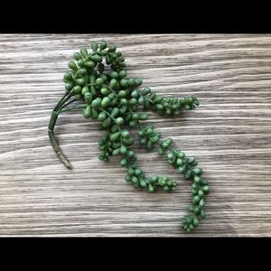 Fake Succulent
